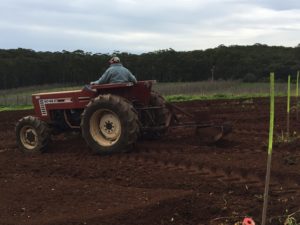 Don delving on the tractor Red Hill Fresh IMG_0551